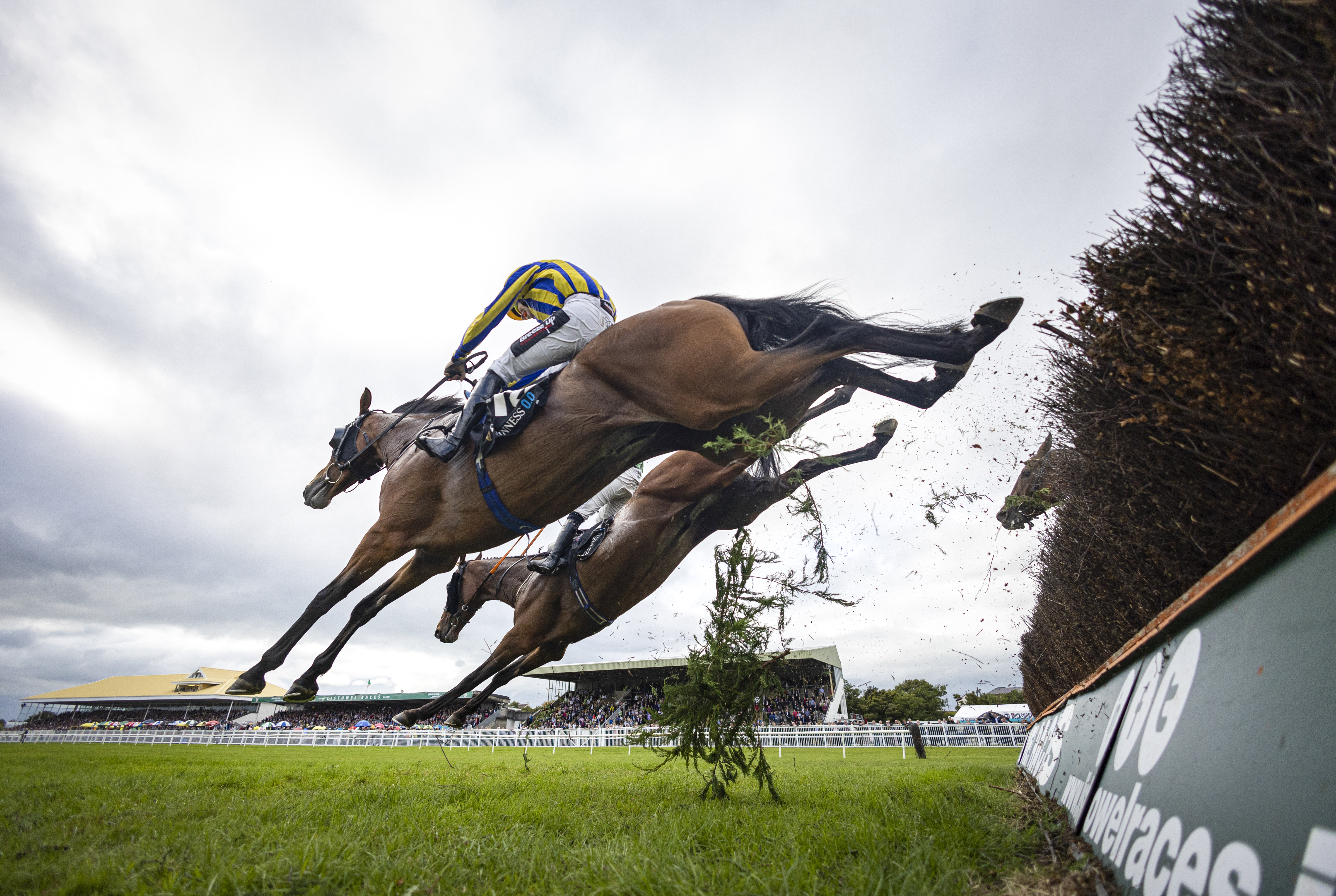 IRISH RACING CALENDAR 25TH APRIL