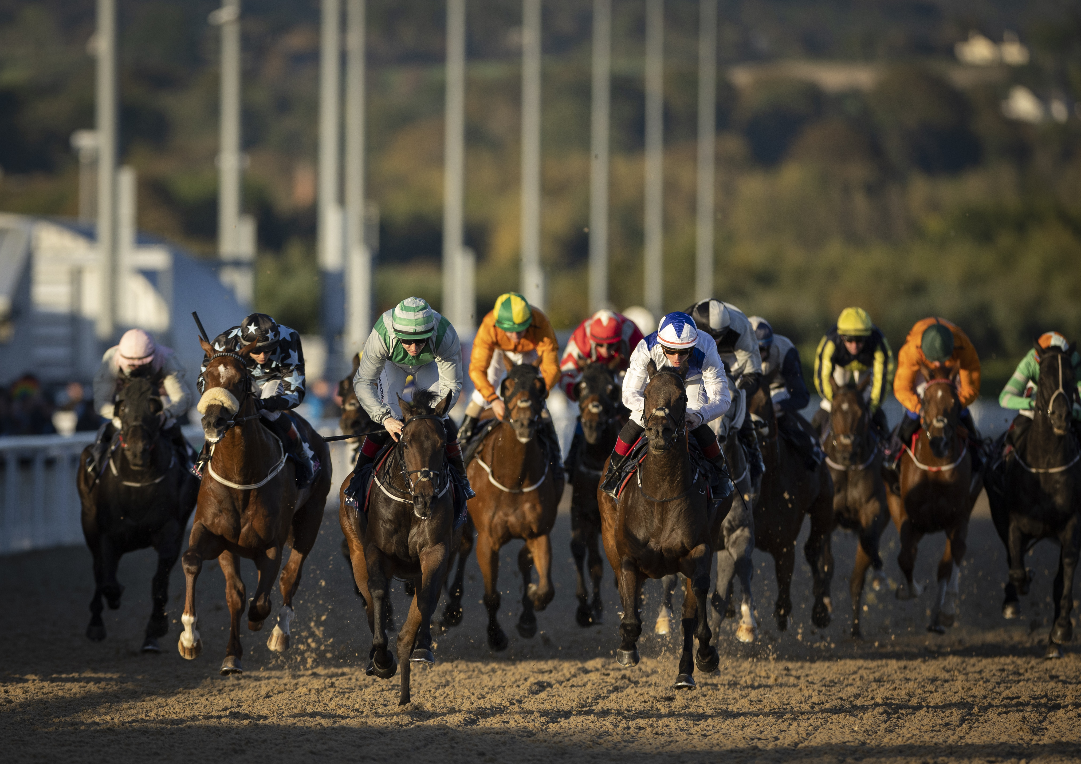 IRISH RACING CALENDAR SUPPLEMENT 25TH APRIL